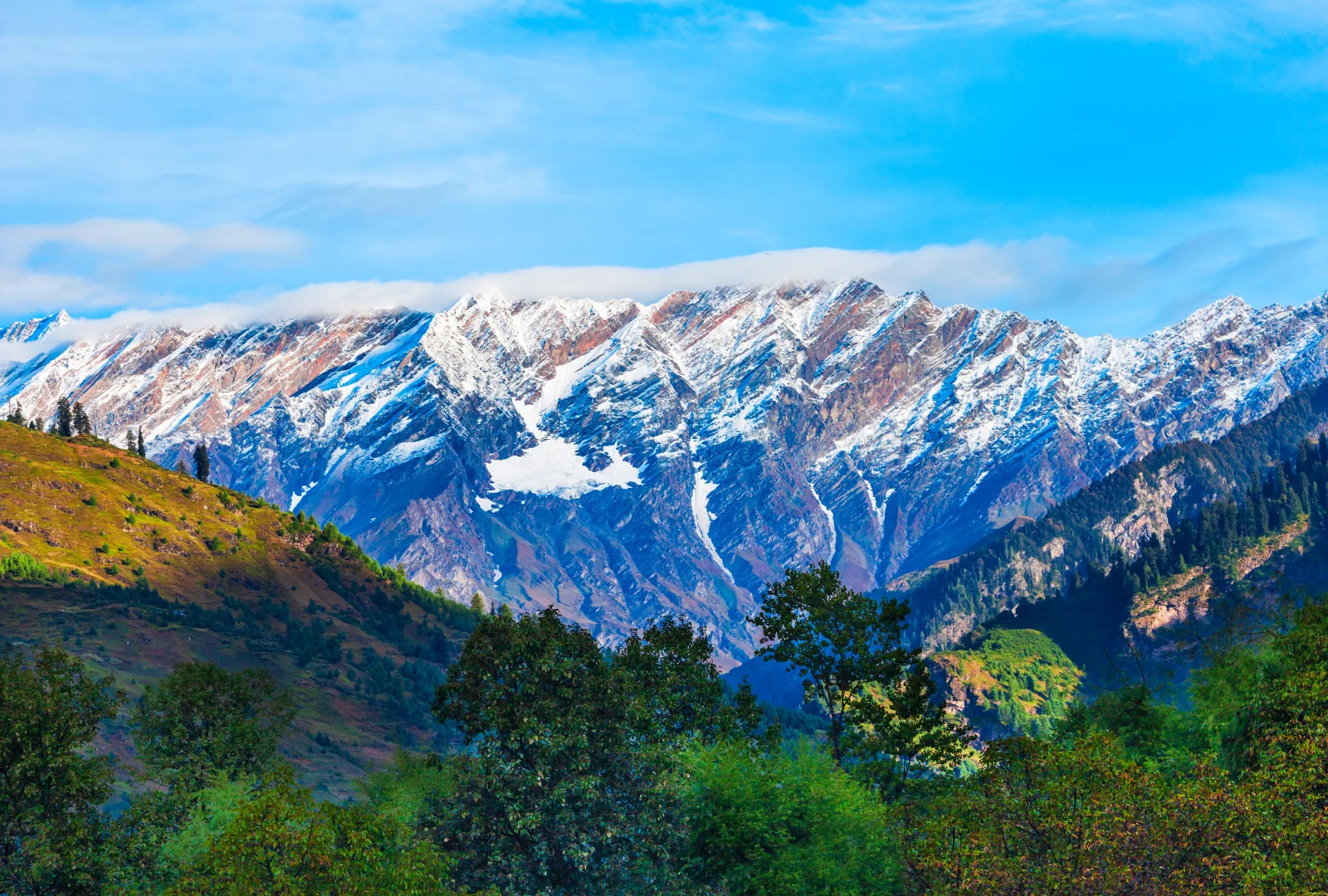 Snowy Himalayan mountains and pine-covered slopes